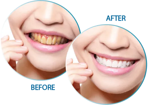26311 dental clinic brunei