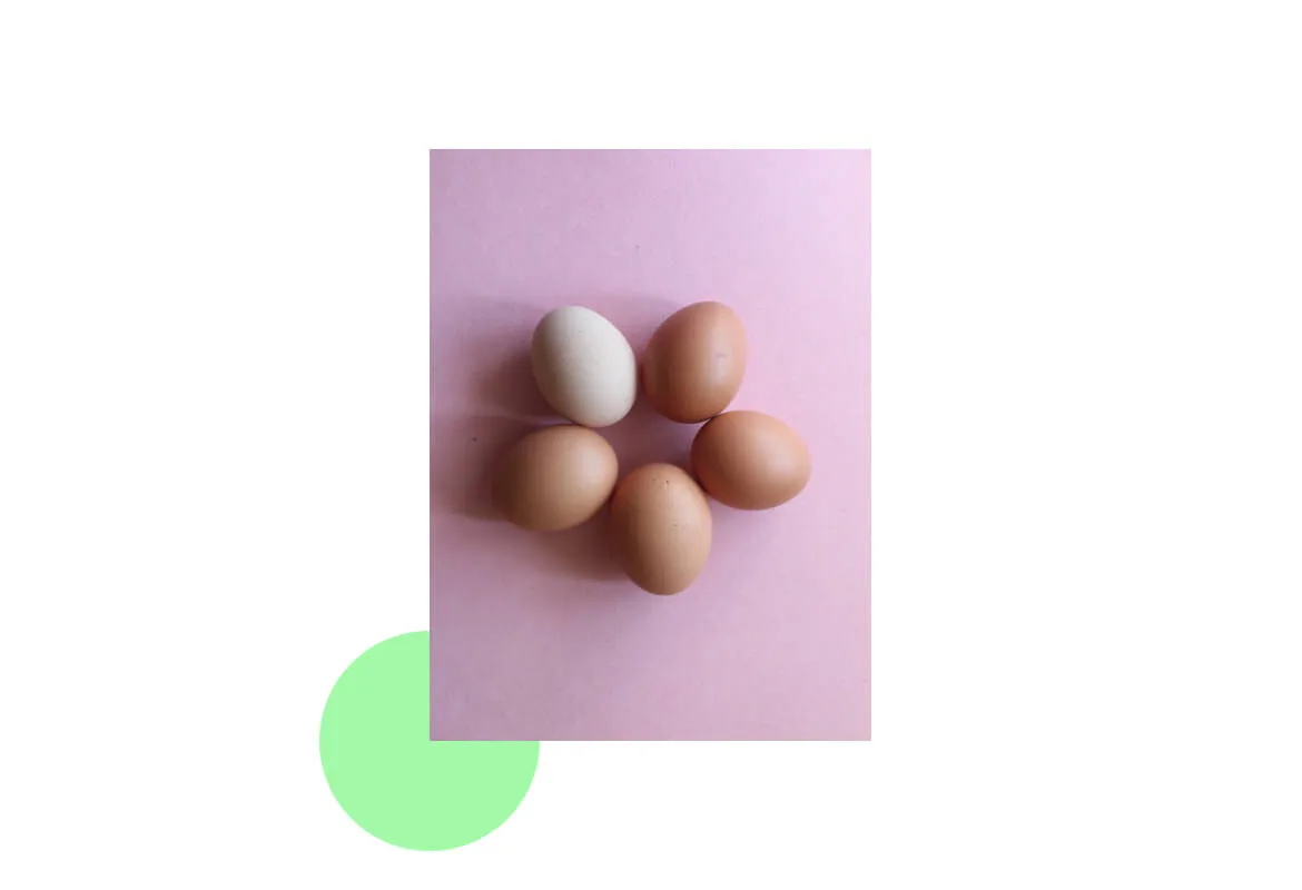 26343 veneers teeth whitening procedure