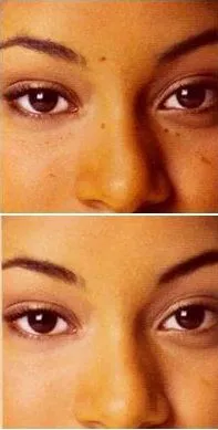 26346 olive oil honey