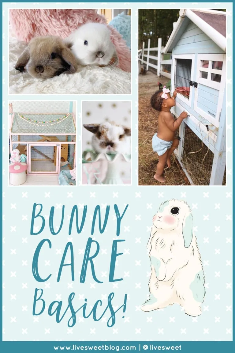 26413 bunny housing