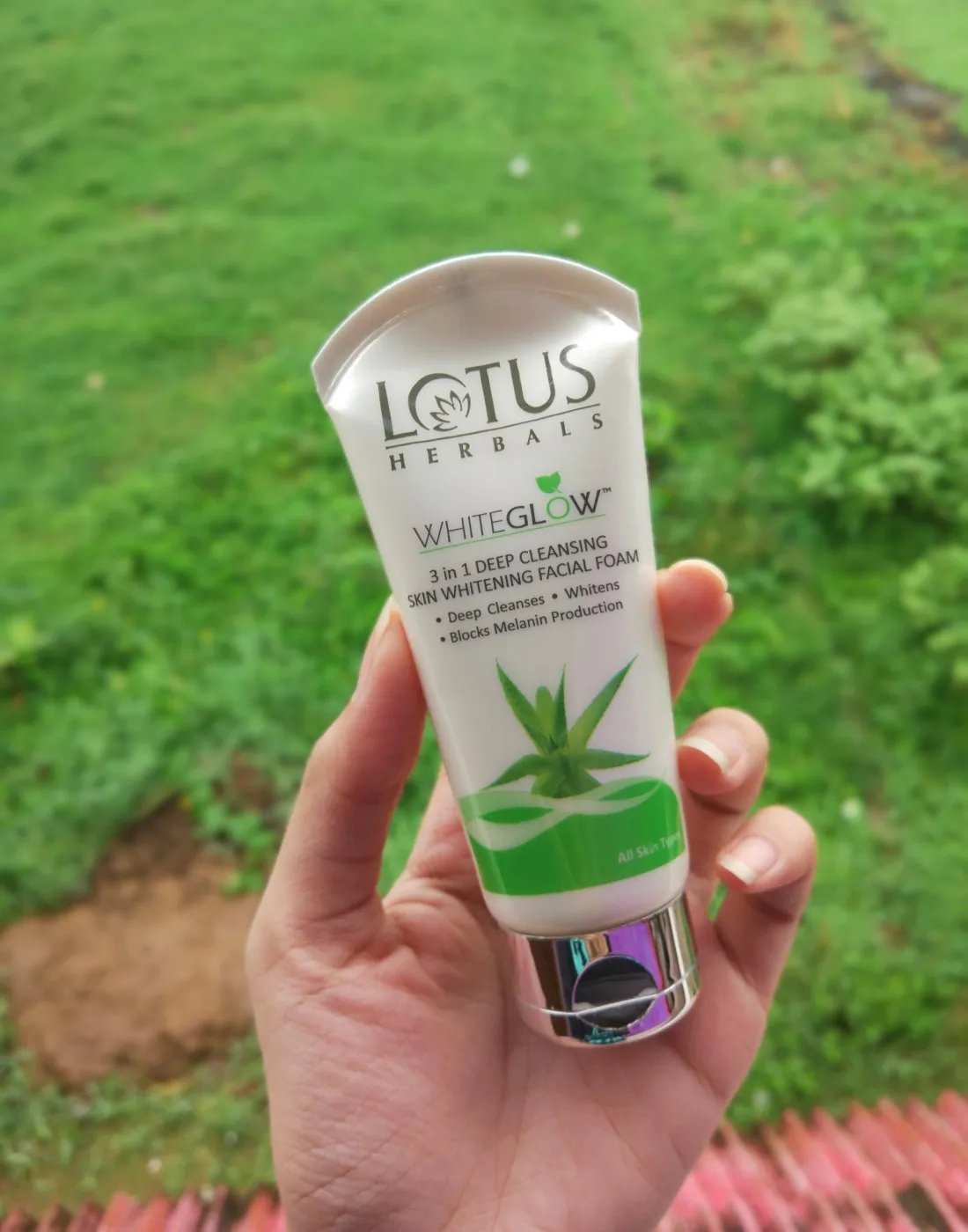 26446 lotus foam cleansing