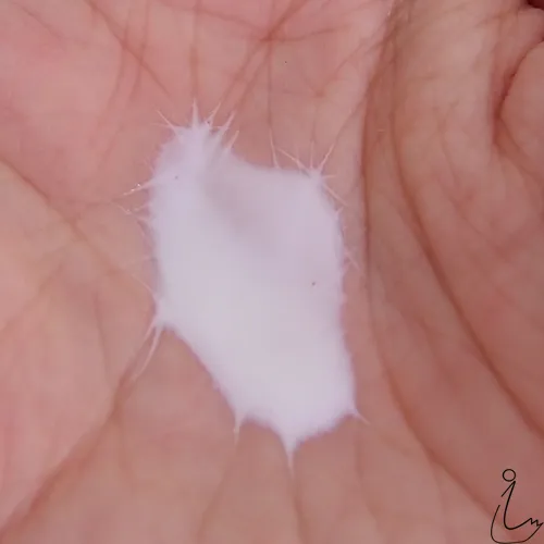 26473 skincare routine steps